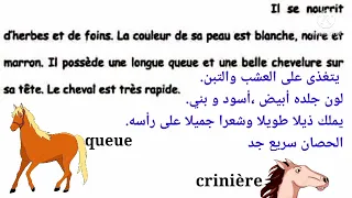 Le Cheval Description Générale 