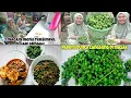 Download Lagu Panen leunca langsung masak  menu pagi di hari Minggu || Mbak iti vlog 