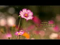 Download Lagu KANGEN - LIDYA NATALIA + LIRIK
