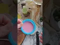 Download Lagu Unmouldin Soap with pink floral #soap #shortvideo #shortsfeed #shorts #short #youtube #youtubeshorts