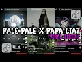 Lagu DJ PALE PALE X PAPA LIAT MENGKANE STYLE DJ TRABAS VERSI OLD
