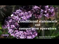 1 08 Conditional statements and comparison operators