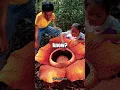Download Lagu 🌼🪲 Beyond Blossom: The Gigantic Rafflesia arnoldii, World's Largest Flower #GiantFlower #rafflesia