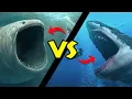 Lagu Megalodon VS Bloop. Bu Savaşı Kim Kazanır?