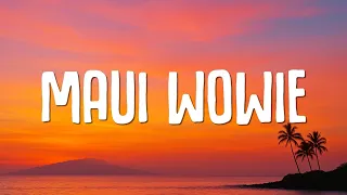 Kid Cudi Maui Wowie Lyrics 