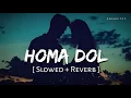 Download Lagu Homa Dol (Slowed + Reverb) - Saad Lamjarred, Neeti Mohan | Anshul3zx