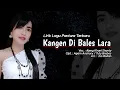 Download Lagu KANGEN DI BALES LARA | Lirik Lagu Terbaru | Voc. Ajeng Kirani Shanty | Terbaru 2022
