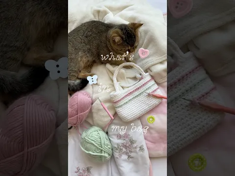 what’s in my mini crochet basket bag🫶🏼🧚🏻🐈 #crochet #whatsinmybag