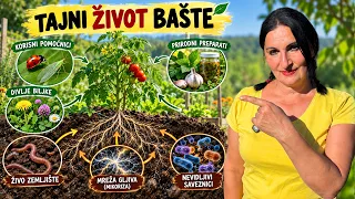 Ovo Se Dešava u Bašti, a Većina Ljudi To Ne Vidi