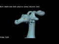 Physics meshes with proxy rigs technique