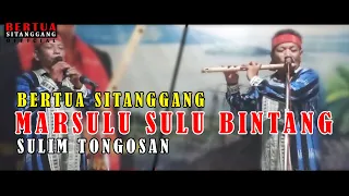 Download MARSULU SULU BINTANG BERTUA SITANGGANG SULIM TONGOSAN MP3