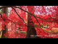 Download Lagu Unis Abdullaev - Evening garden (piano, instrumental)