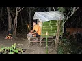 Download Lagu Camping hujan deras membangun shelter bambu dalam hutan di terjang badaii hujan deras