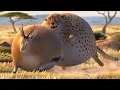 Download Lagu Divertidos Animales Gordos - Cortometraje Animado | Animales De Dibujos Animados Películas
