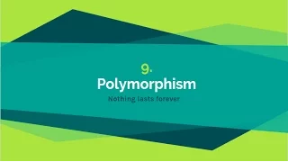 9 - Polymorphism Object Oriented Programming with Python