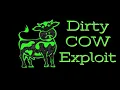 Dirty COW exploit walkthrough under 7 minutes Linux Privilege Escalation