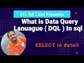 What is Data Query Language in SQL I SELECT in SQL DQL commands in DBMS with practical example