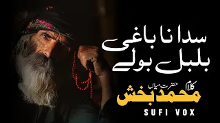 Sada Na Baghi Bulbul Bole - kalam Mian Muhammad Bakhsh - Punjabi sufiana kalam 2026
