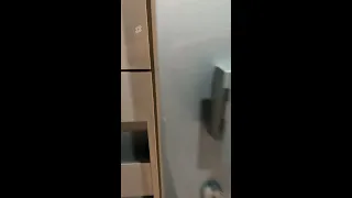 Hit The Like Button If You Spotted The Real Dog In The First 5 Seconds PannaTVdog Cute Puppy 