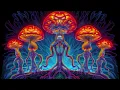 Download Lagu Mozza - DJ Set - Exit Festival (Gaia Trance Stage 2023)