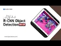 What is R-CNN Object Detection
