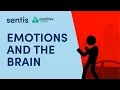 Lagu Emoties en de hersenen