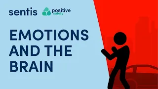 احساسات و مغز 