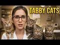 Types of Tabby Cats See Every Pattern