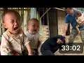 Download Lagu The moment the bad husband took Tieu Hy's daughter to trade for alcohol