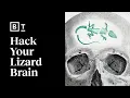 Your reptilian brain explained Robert Sapolsky Big Think