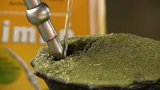 História da Erva-mate no Planalto Norte SC