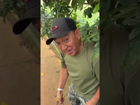 Chủ nhà mà thả chó...chạy bây ơi 🤣🤣 #hoithiennguyenbds #8sangbds #8sang