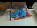 GI Map Stool Test Instructions