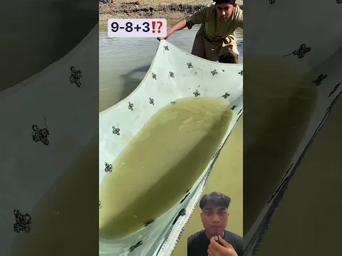 Jaring ikan pakai kain #fishing #fish