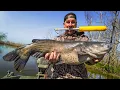 These GIANT Catfish Attacked our JUG Lines Catch Clean Cook