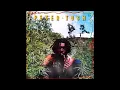Peter Tosh - 05 - Why Must I Cry