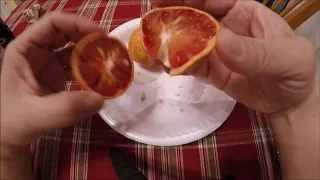 Raspberry Tangor and Moro Blood Orange