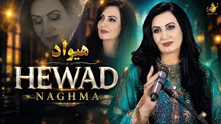                                                   هیواد                  دندنها