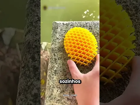 Estes vermes coloridos pulam sozinhos na água 😱🤩
