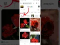 to download GIFs from Google