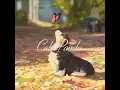 Wataru Fujiwara - Autumn