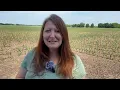 Out Again with Jenn Comparing field soil temperatures between different types of tillage practices
