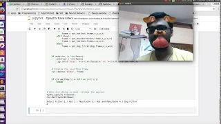 OpenCV Snapchat Face Filters Face Detection Using Haar Cascade Classifiers Python