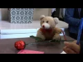 Valentines Grams
