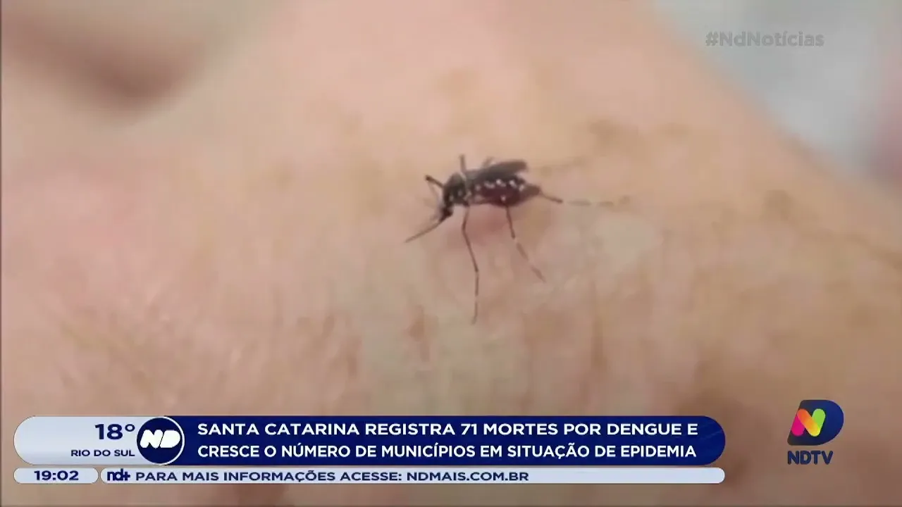 Dengue: SC registra 71 mortes pela doença