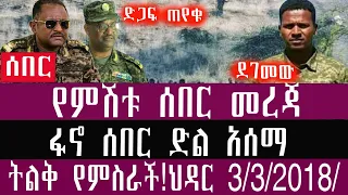 አሁናዊ ሰበር መረጃ ህዳር 3 3 2018 November 12 2025 Breaking News Ethiopianews Ethiopianews 