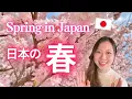Download Lagu Comprehensible Japanese - Spring in Japan / Japanese Listening Practice