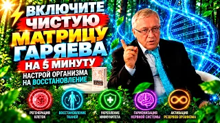 ⚡ Включите Чистую Матрицу Гаряева на 5 Минуту / Настрой Организма на Восстановление