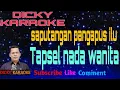 Lagu SAPUTANGAN PANGAPUS ILU ( KARAOKE ) TAPSEL _ NADA WANITA CEWEK _ KN 700