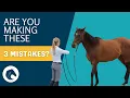Three Common Mistakes in Horse Training and How to Fix Them